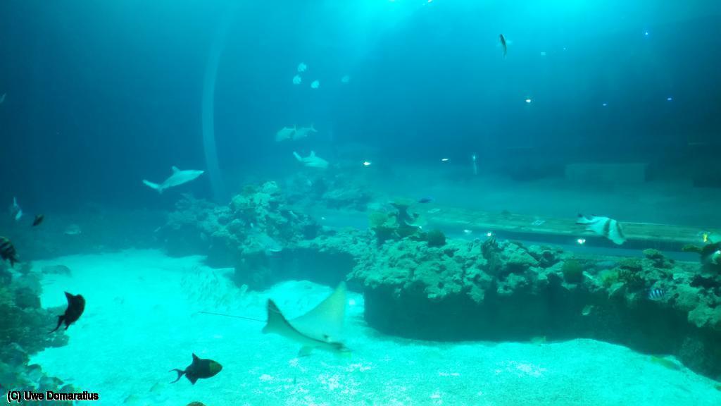 1024x768/20150822_093715.jpg