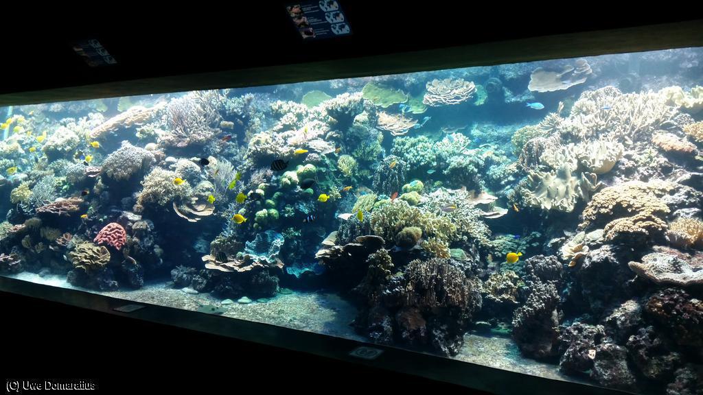 1024x768/20150822_093857.jpg