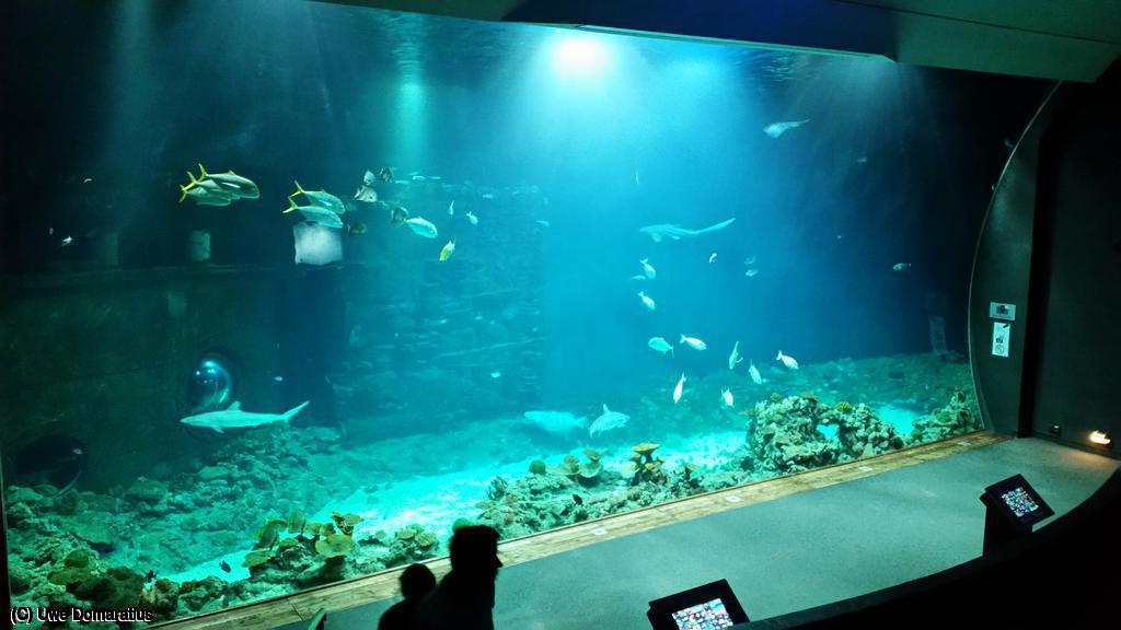 1024x768/20150822_094950.jpg