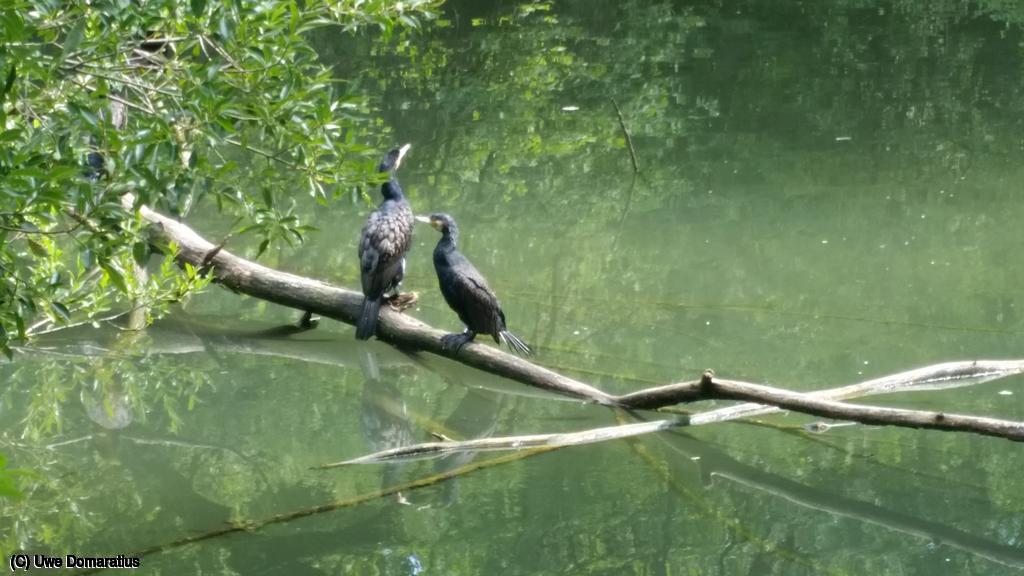 1024x768/20190712_104442.jpg