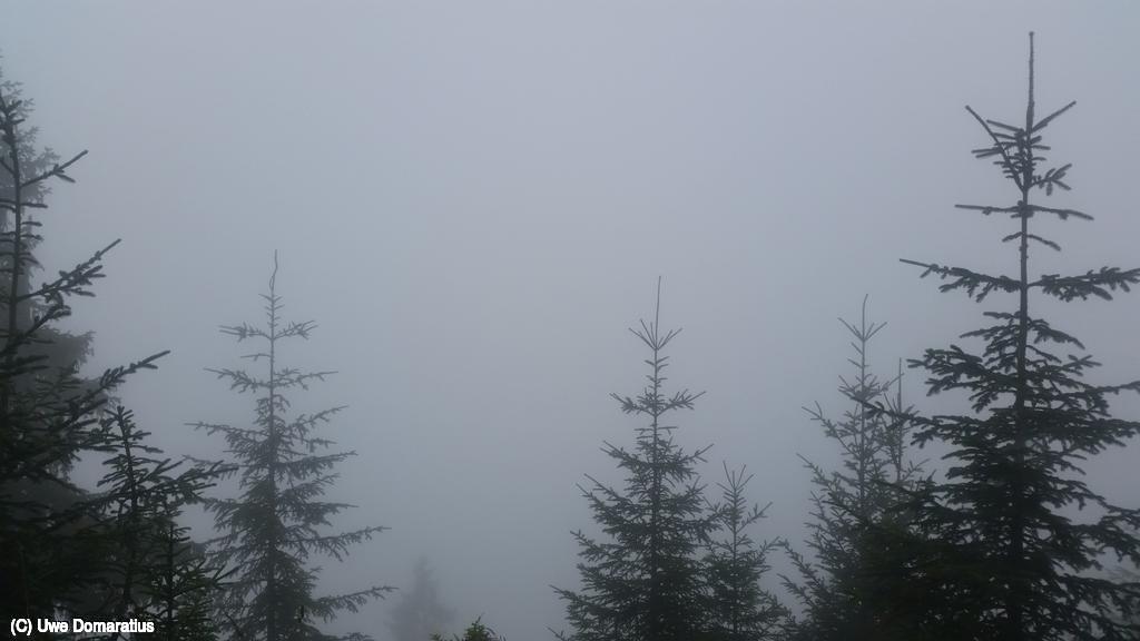 1024x768/20190810_135729.jpg