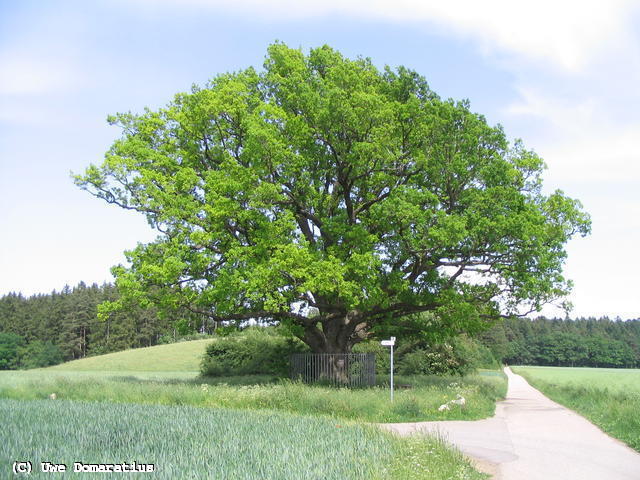640x480/24.jpg